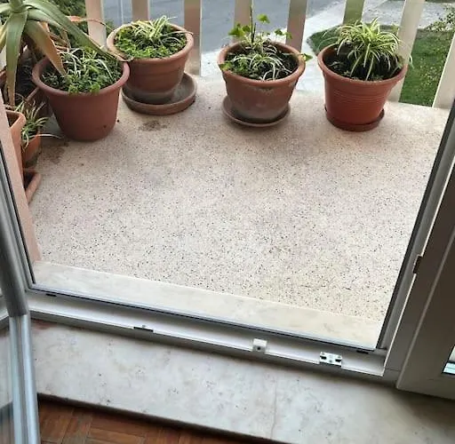 26/3 Casa Da Musica Daire Porto