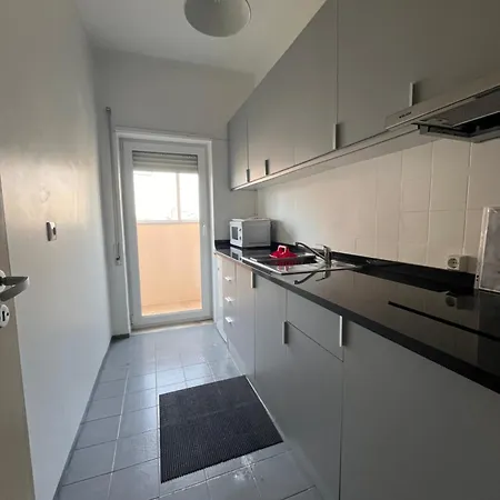 26/3 Casa Da Musica 포르투